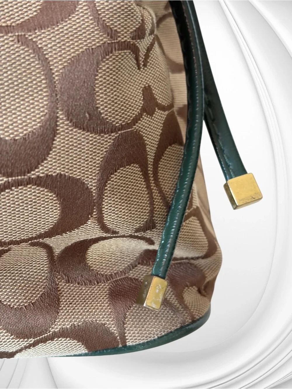 Coach Signature Stripe Python Carryall Tote, style number F24882